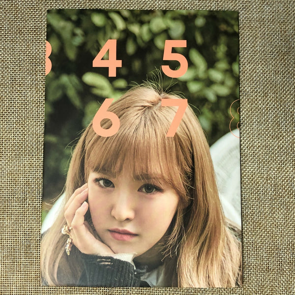 RED VELVET WENDY [ 2018 Season's Greetings ] Official Folded Poster / New / Gift