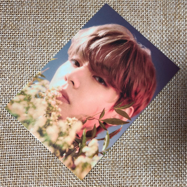 BTS V TAEHYUNG [ HYBE INSIGHT ] Official Photocard SET of 2 / New / Gift