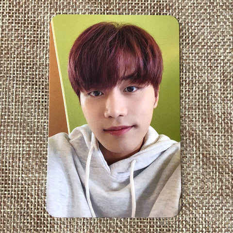 NCT 127 TAEIL [ 2021 SLOWACID TEDDY ISLAND ] Official Photocard / New / Gift
