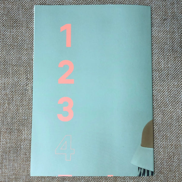 RED VELVET IRENE [ 2018 Season's Greetings ] Official Folded Poster / New / Gift