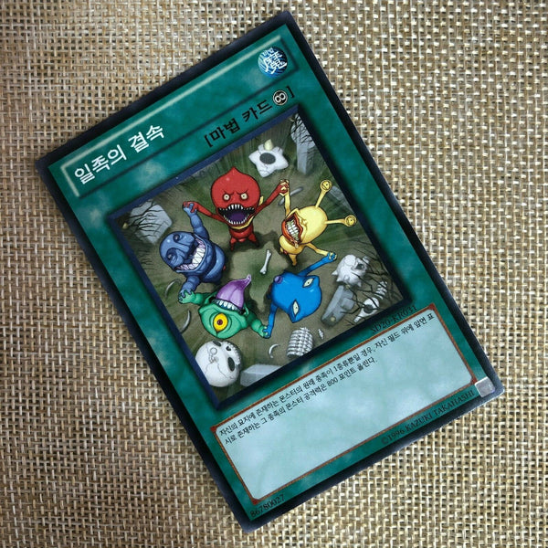 Yugioh Solidarity / SD20-KR031 / Common Rare / Korean / Mint / Gift