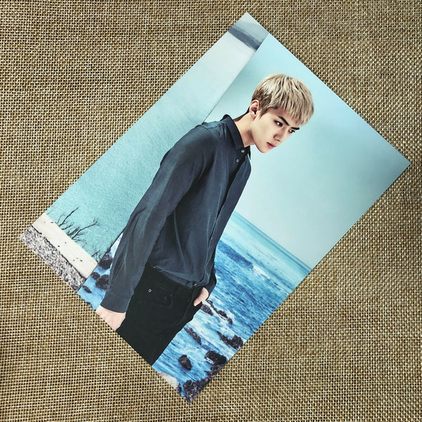 EXO SEHUN [ 2017 Season's Greetings ] Official Postcard / New / Gift