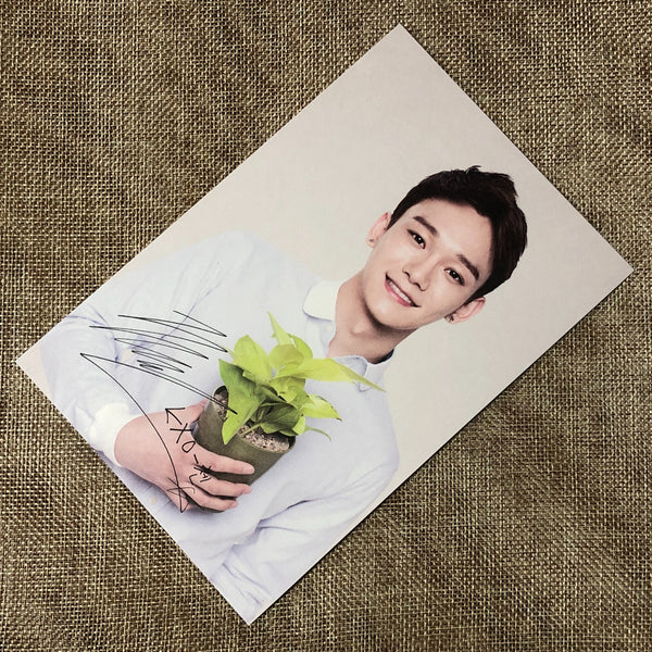 EXO CHEN [ Nature Republic ] Official Limited Postcard / New / Gift