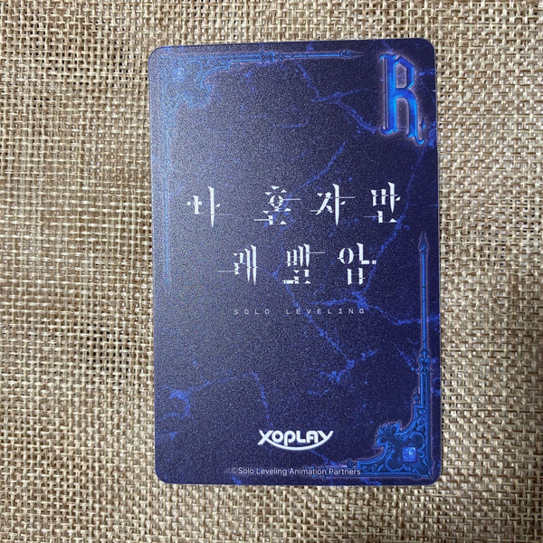 Solo Leveling Woo Jin-chul / Chess Game / Rare Official Collector Item / Gift