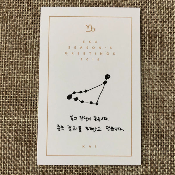 EXO KAI [ 2019 Season's Greetings ] Official Limited Photocard / New / Gift