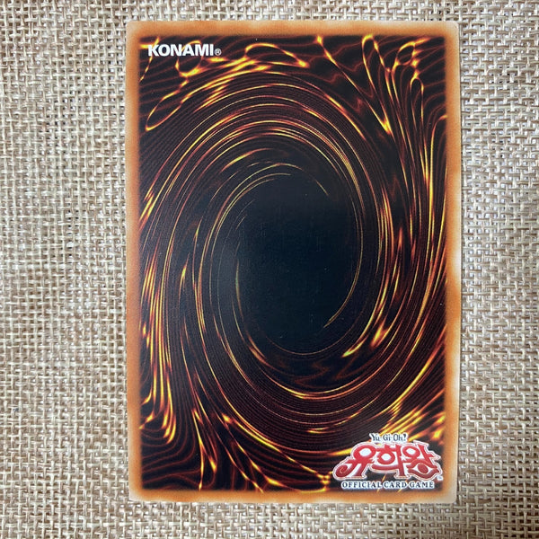 Yugioh Dark Magician Girl / MFC-KR000 / Secret Rare Korean / Mint / Gift