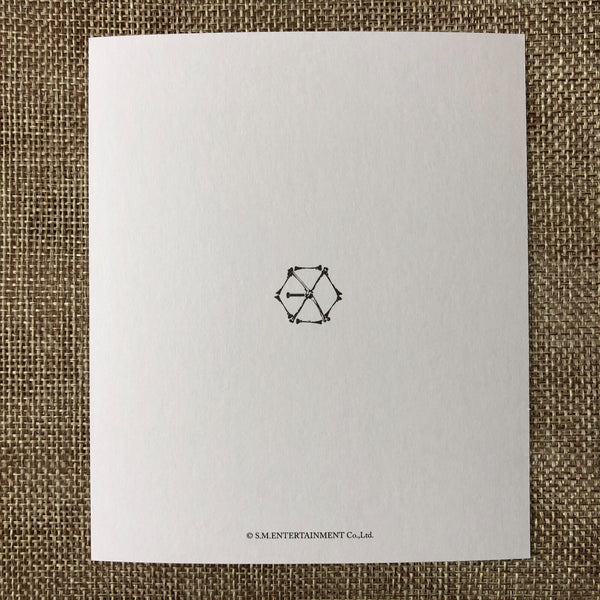 EXO LAY [ EX'ACT ] Official Polaroid Photocard Set of 2, Postcard / New / Gift