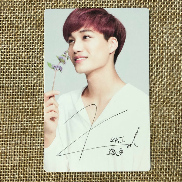 EXO KAI [ Nature Republic ] Official Limited Photocard, EXO-K / New / Gift