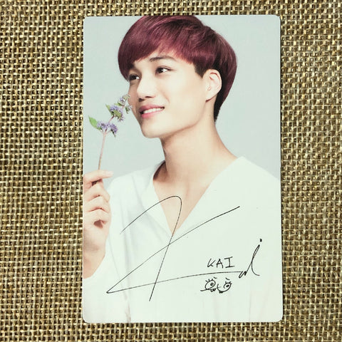 EXO KAI [ Nature Republic ] Official Limited Photocard, EXO-K / New / Gift