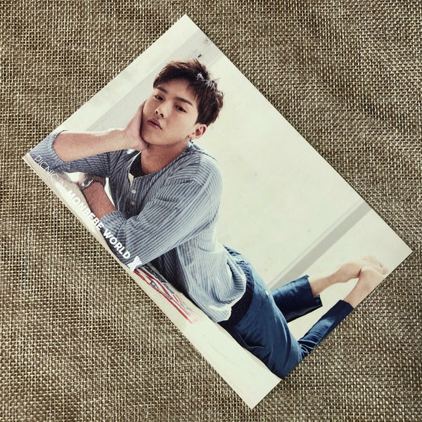 MONSTA X SHOWNU [PICNIC IN MONBEBE WORLD Fan Meeting] Official Postcard / Gift