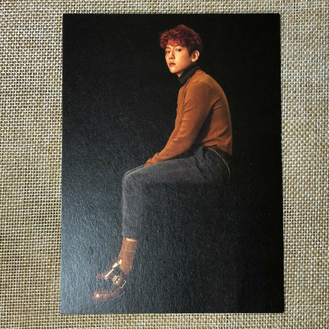 EXO BAEKHYUN [2016 Winter Special For Life] Official Postcard Photo / New / Gift