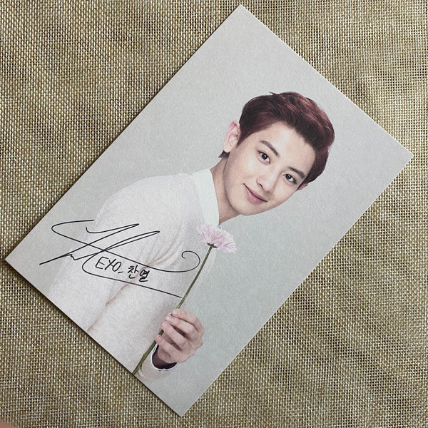 EXO CHANYEOL [Nature Republic] Official Limited Postcard Photocard / New, Rare