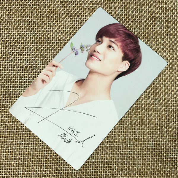 EXO KAI [ Nature Republic ] Official Limited Photocard, EXO-K / New / Gift