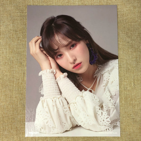 RED VELVET WENDY #1 [ 2019 Season's Greetings ] Official A4 Poster / New / Gift