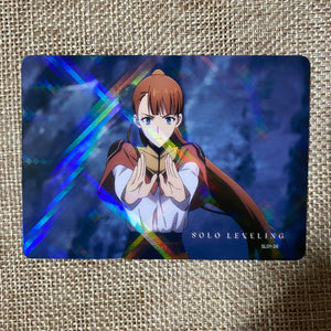 45276141