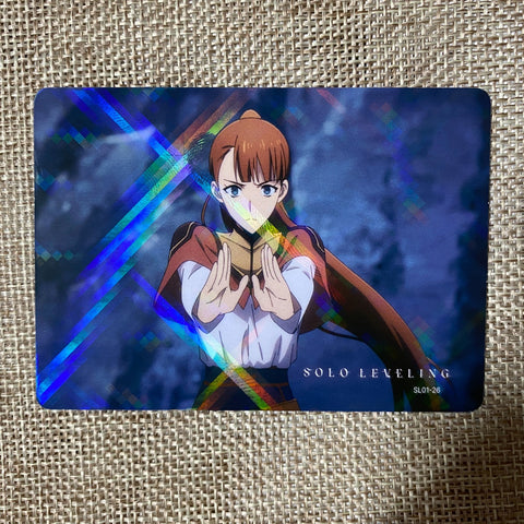 45276141
