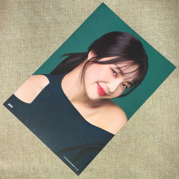 RED VELVET JOY #2 [ 2019 Season's Greetings ] Official A4 Poster / New / Gift