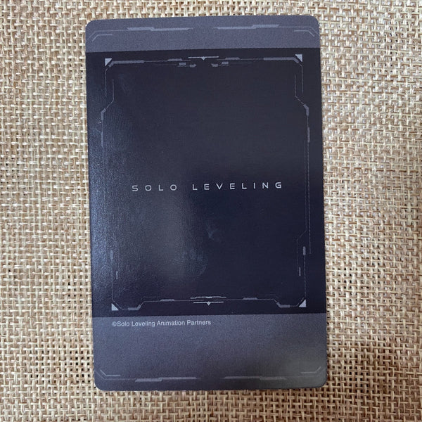 Solo Leveling Cho Jong-in [Official Photo Card] / Rare Limited Edition / Mint