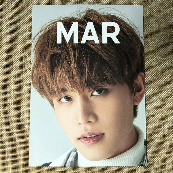 NCT 127 TAEIL [ 2018 Season's Greetings ] Official Folded Poster / New / Gift
