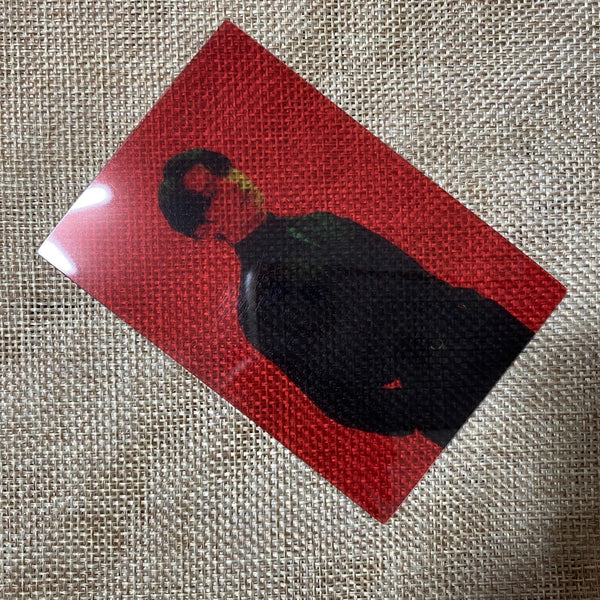 BTS JUNGKOOK [MAP OF THE SOUL MOS ON:E Concept Book] Clear Photocard / Gift