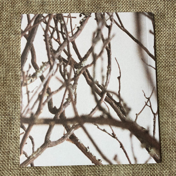 BOA [ HURRICANE VENUS ] 6th Album / SM K-POP / CD+ Booklet / New / Gift