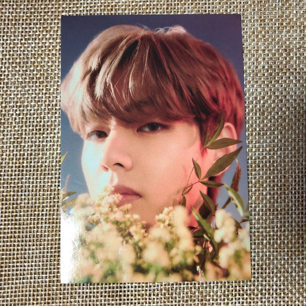 BTS V TAEHYUNG [ HYBE INSIGHT ] Official Photocard SET of 2 / New / Gift