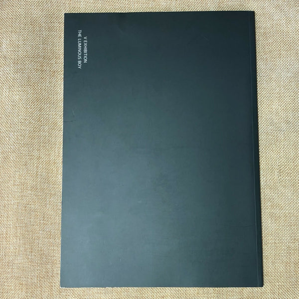 BTS V [ The Luminous Boy Exhibition ] Photobook / New, Rare / Gift