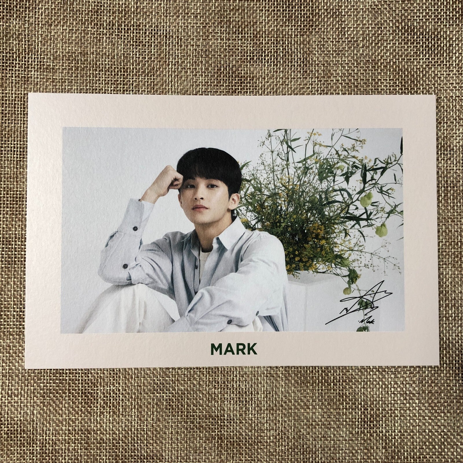 NCT 127 MARK [NATURE REPUBLIC CICA Wonderland MD] Official Postcard / New / Gift