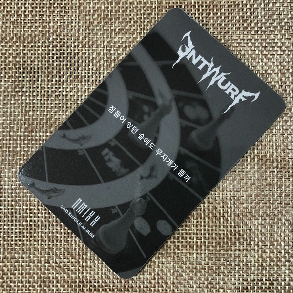 NMIXX SULLYOON [ Entwurf ] Official Photocard, Light Ver / New / Gift