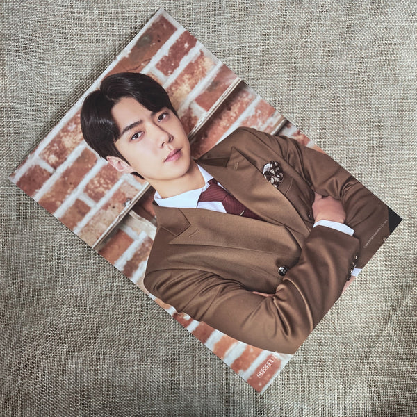 EXO SEHUN [ 2020 Season's Greetings ] Official A4 Size Poster / New, Rare / Gift