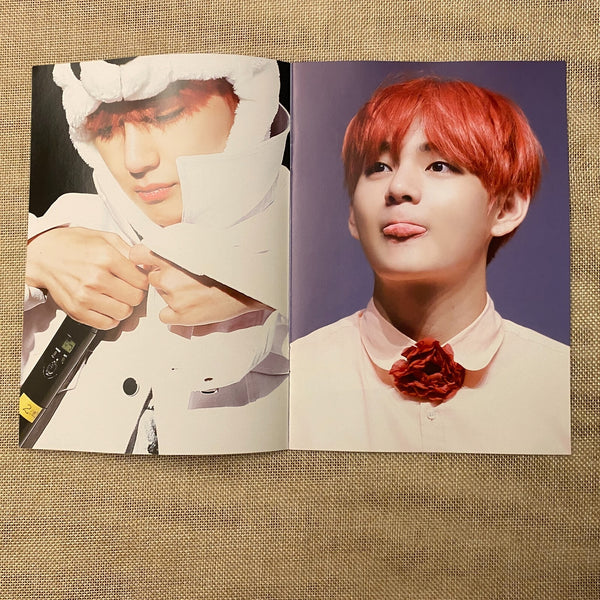 BTS V [ POINT TAETAELAND Exhibition Mini Photobook ] 16 pg / New / Gift