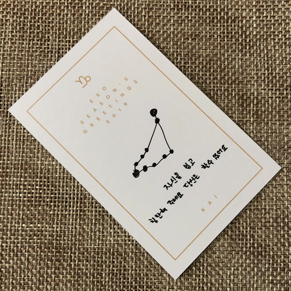 EXO KAI [ 2019 Season's Greetings ] Official Limited Photocard / New / Gift
