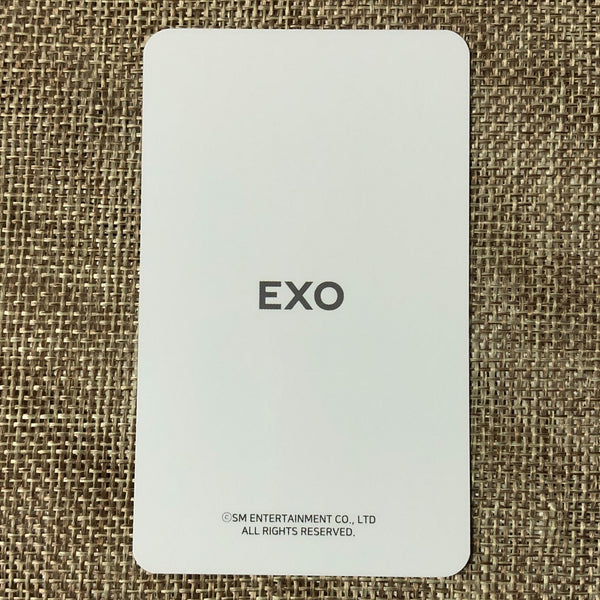 EXO BAEKHYUN [ 2019 Season's Greetings ] Official Limited Photocard / New / Gift