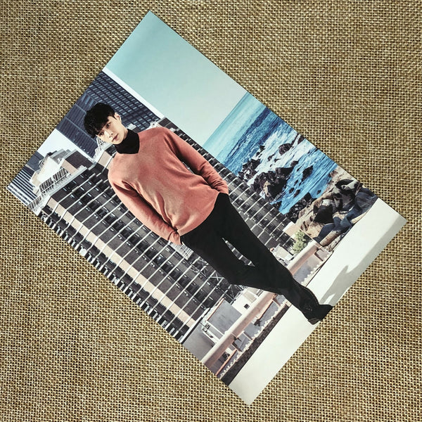 EXO LAY [ 2017 Season's Greetings ] Official Postcard / New / Gift