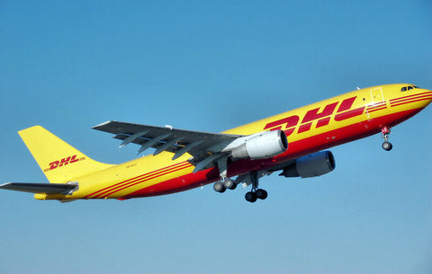 Custom Service for shipping change to DHL ($40)